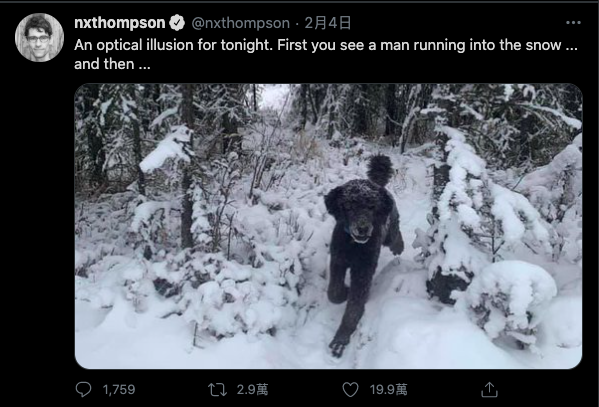 推特瘋傳這張照片你看到的「雪地裡是人還是狗」？