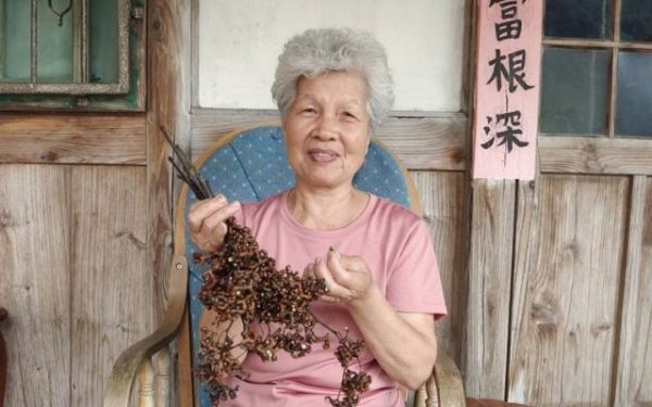 奇樹爬滿「變形蟲」名為枳椇  竟是阿公阿嬤涮嘴零食