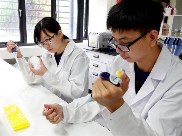 厲害！台灣之光！研發對抗超級細菌敷料 中正大學團隊奪iGEM金牌