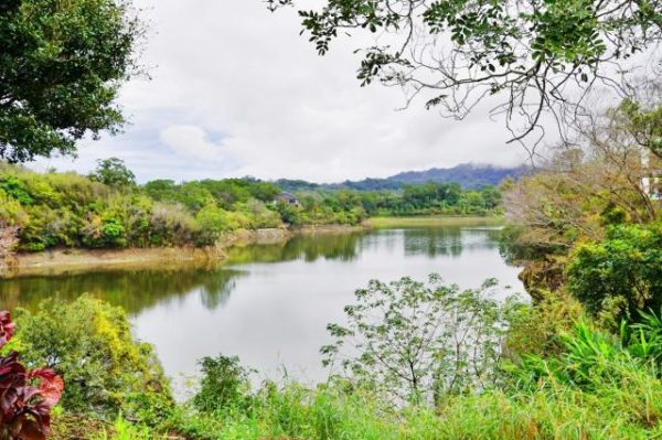 苗栗 湖心孤島竟住人 全台唯一景象