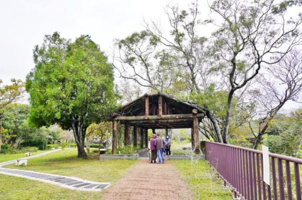 苗栗 湖心孤島竟住人 全台唯一景象