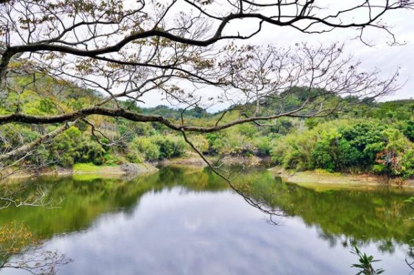 苗栗 湖心孤島竟住人 全台唯一景象