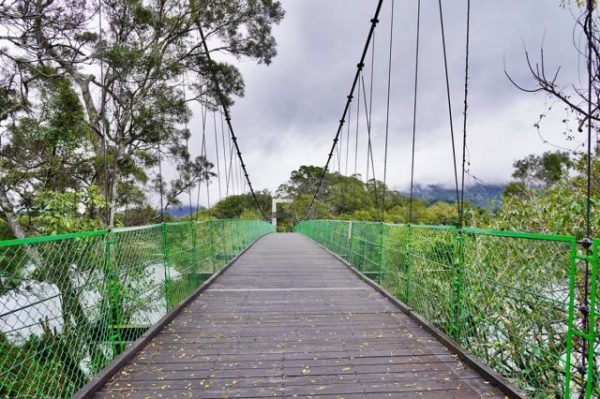 苗栗 湖心孤島竟住人 全台唯一景象