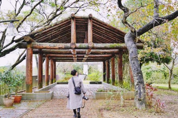 苗栗 湖心孤島竟住人 全台唯一景象