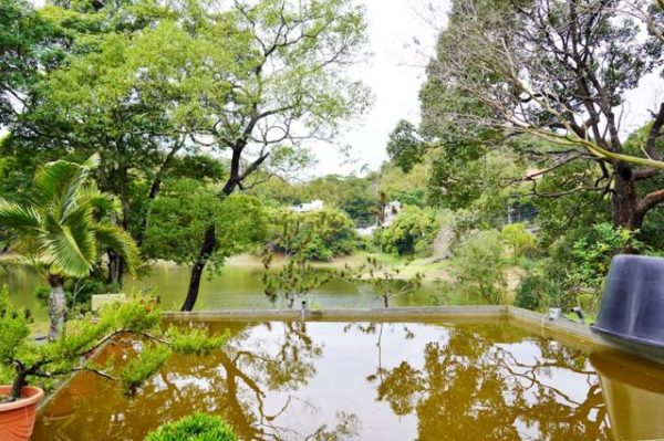 苗栗 湖心孤島竟住人 全台唯一景象