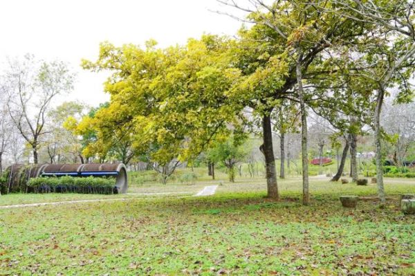 苗栗 湖心孤島竟住人 全台唯一景象