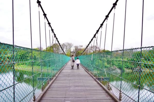 苗栗 湖心孤島竟住人 全台唯一景象