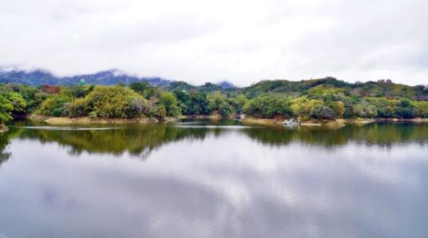 苗栗 湖心孤島竟住人 全台唯一景象