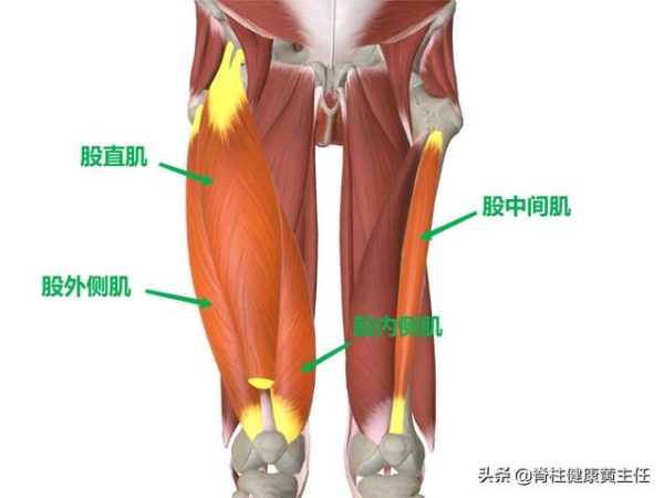 膝關節損傷、半月板受損導致行走困難或無力？平常可做哪些簡易動作來增強或緩解？