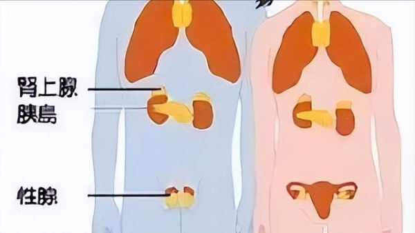 陰毛有什麼作用？留不留有關係嗎？要不要刮掉？