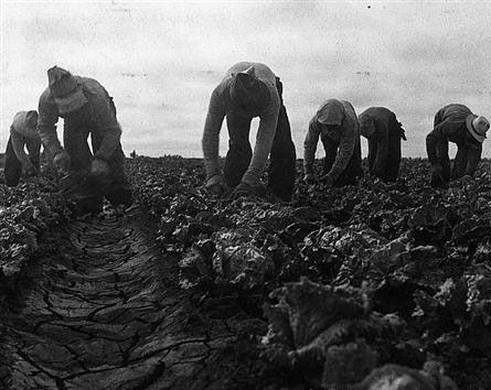 1929~1939年間美國大蕭條是什麼原因導致？當時大蕭條造成了怎樣的影響？