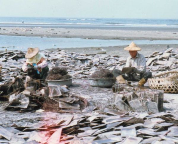 承擔全球廢棄物  污水毒染高雄與台南的界河二仁溪20年  花20億還清不完