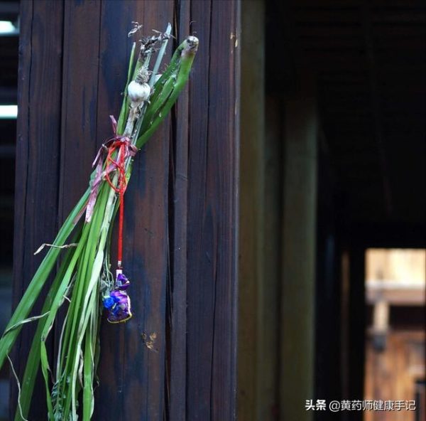 端午習俗！插艾草、掛菖蒲、燻蒼朮、喝雄黃酒、佩香囊~~你知道是為什麼嗎？