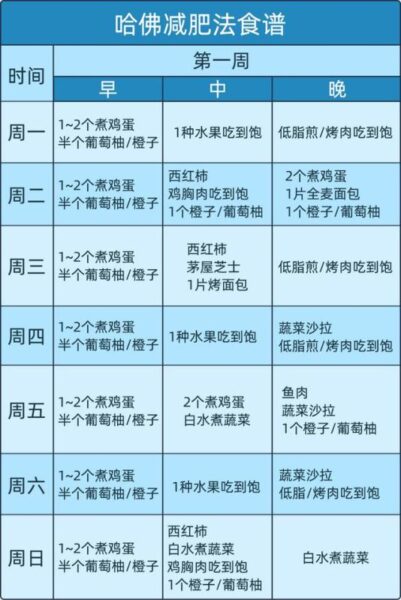 哈佛教授的雞蛋減肥法爆紅！大基數體重網友：一個月能瘦5公斤