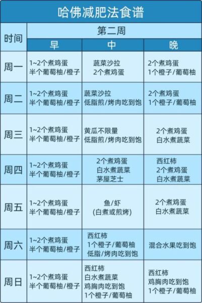 哈佛教授的雞蛋減肥法爆紅！大基數體重網友：一個月能瘦5公斤