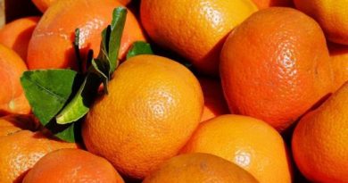 怎麼挑橘子才好吃？「3要訣」讓你挑到甜又多汁的喔！