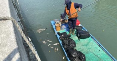 台南運河發現大量死魚 浮出魚屍達200公斤