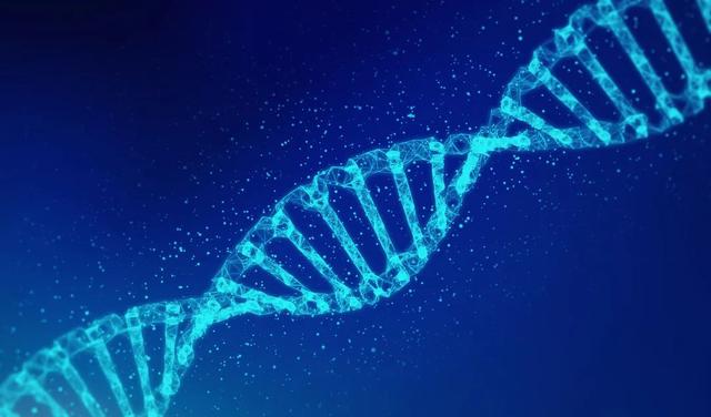 癌症會遺傳嗎？哪幾種癌症最容易遺傳？該怎麼預防或減少