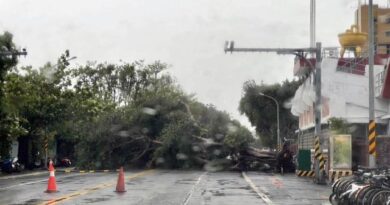 「杜蘇芮」颱風入夜強風突襲南台灣  台南市區多處路樹倒塌、道路中斷